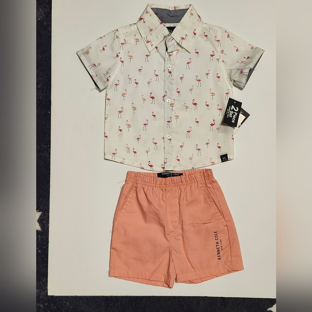 Flamingo Print Shirt and Peach Shorts Set
